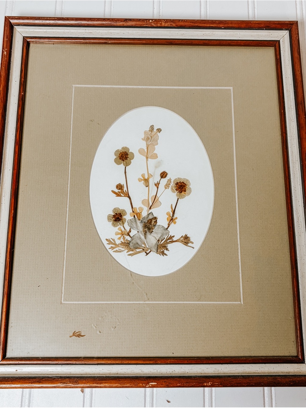 Vintage Pressed Dried Floral Framed Wall Hanging | Dried Flowers | MCM